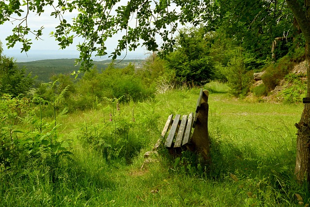 际竞争中的 际竞争中的