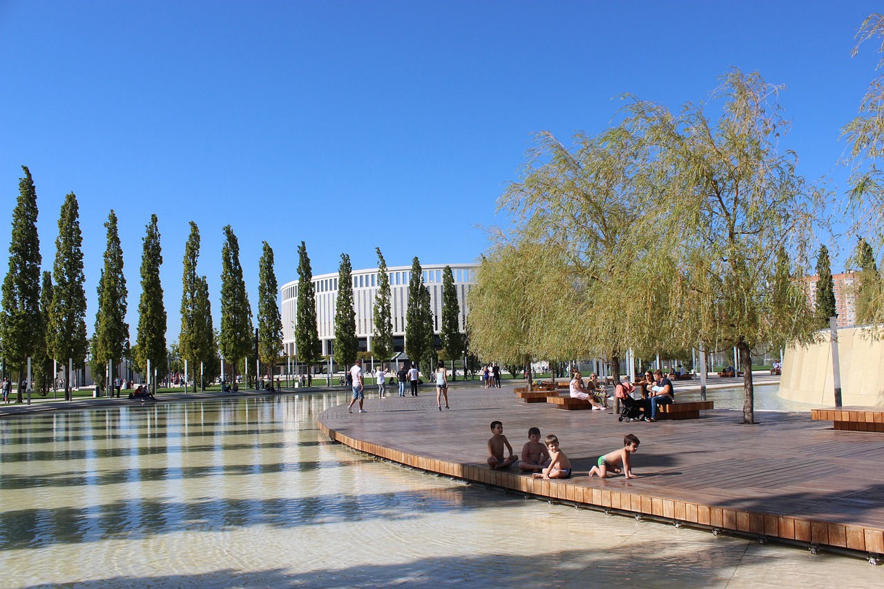 国队在比赛 国队在比赛