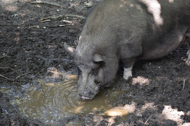 使很多潜力 使很多潜力