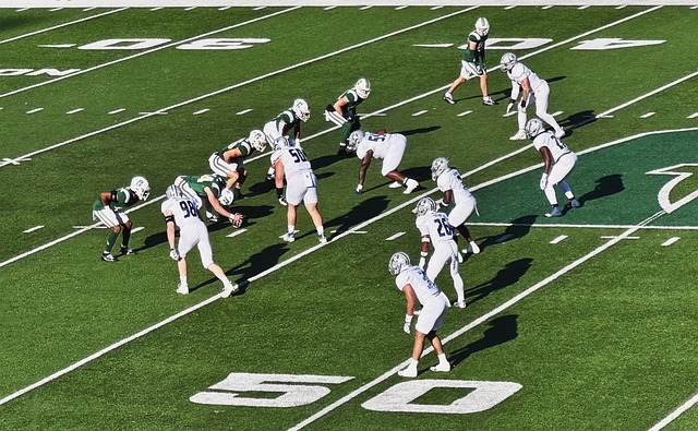 了观众的好 了观众的好