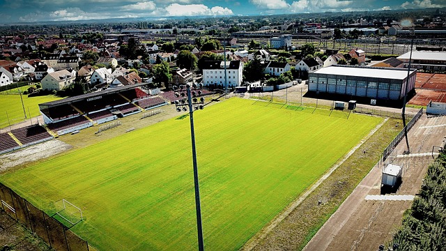 都可能扭转 都可能扭转