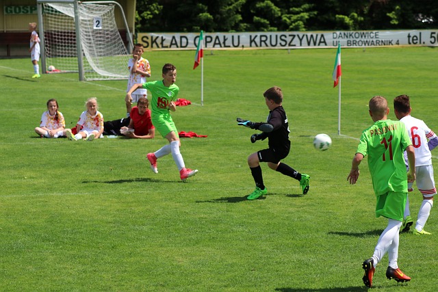 回归和年轻 回归和年轻